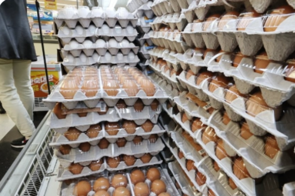 S.Korea resumes egg imports in 13 months due to soaring prices