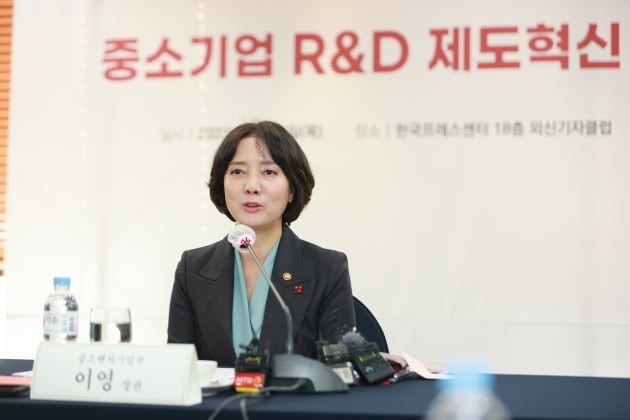 Minister　of　SMEs　and　Startups　Lee　Young　is　announcing　a　plan　to　reform　R&D　schemes　for　SMEs　on　Thursday 