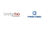 Bridge Biotherapeutics, Pinotbio develop lung cancer treatment