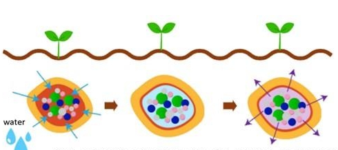 Aekyung Chemical develops first fertilizer coating resin with vegetable oil