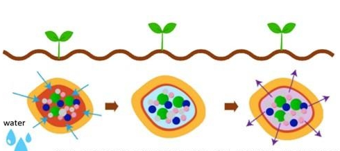 Aekyung　Chemical　develops　first　fertilizer　coating　resin　with　vegetable　oil　