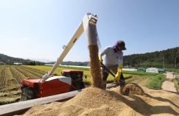 Rice consumption in S.Korea hits record low in 2022