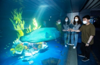 S.Korea's fisheries ministry to transfer tech on Napoleon fish to SE Asia