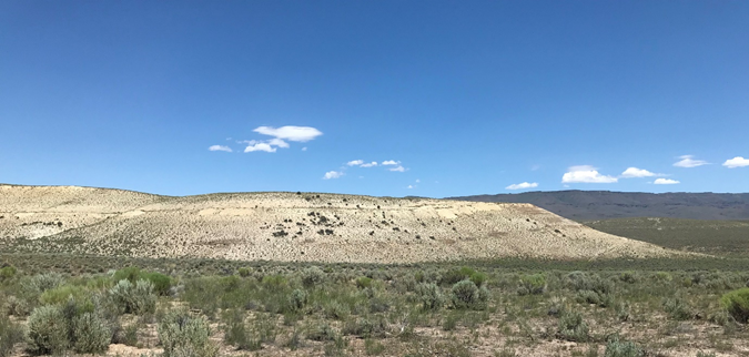 Mineralized sediments towards the center of the McDermitt lithium deposit (Courtesy of Jindalee)