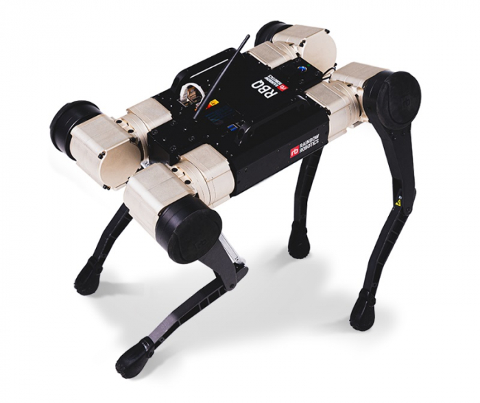 Rainbow　Robotics'　quadruped　walking　robot