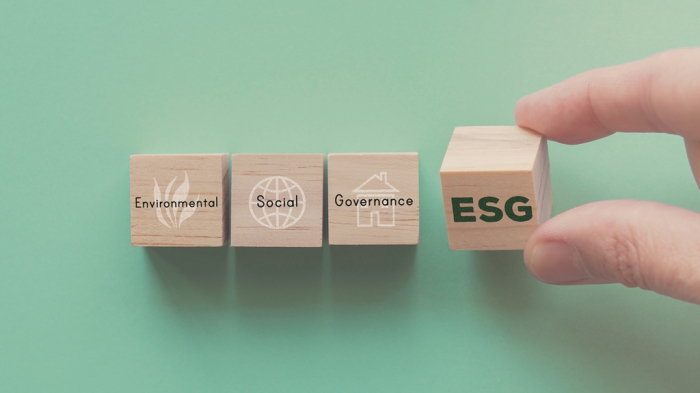 Money flow into ESG funds will continue to rise, analysts say