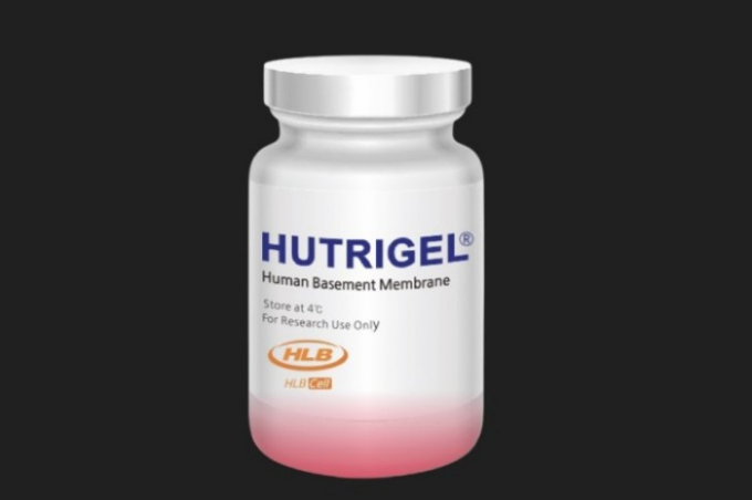 HLB Cell develops organoid biomaterial based on human normal cells