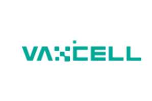 Vaxcell-bio's　NK　cell　therapy　wins　therapeutic　approval　for　liver　cancer