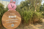 BTS Forest created in Seoul by fans' donations 