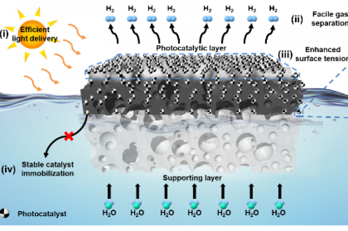 S.Korea's　IBS　develops　floatable　photocatalytic　platform