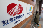 KEPCO vows to save $19 bn in 5 yrs; CEO offers to resign over swelling losses