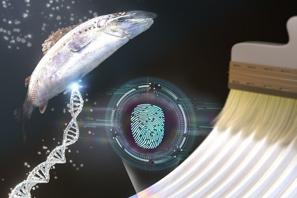 S.Korea's　top　tech　school　uses　salmon　DNA　to　block　art　counterfeiting