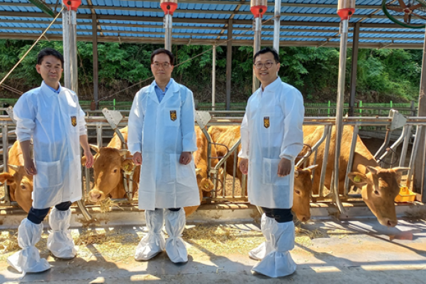 S.Korea's　ToolGen　develops　gene-edited　cow　for　artificial　blood