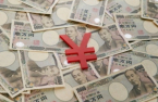 Yen’s plunge spurs bargain-hunting in Korea; savings fastest in 6 years