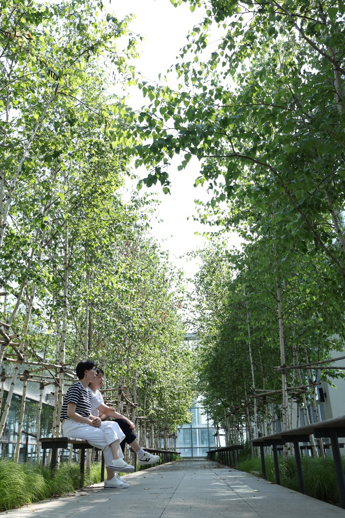 COMB outdoor garden