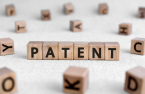 American patent trolls target S.Korean companies