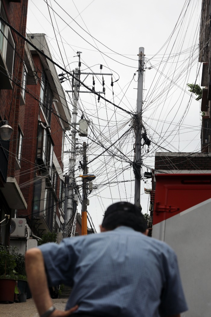 KEPCO strives to drive out birds meant to bring good luck