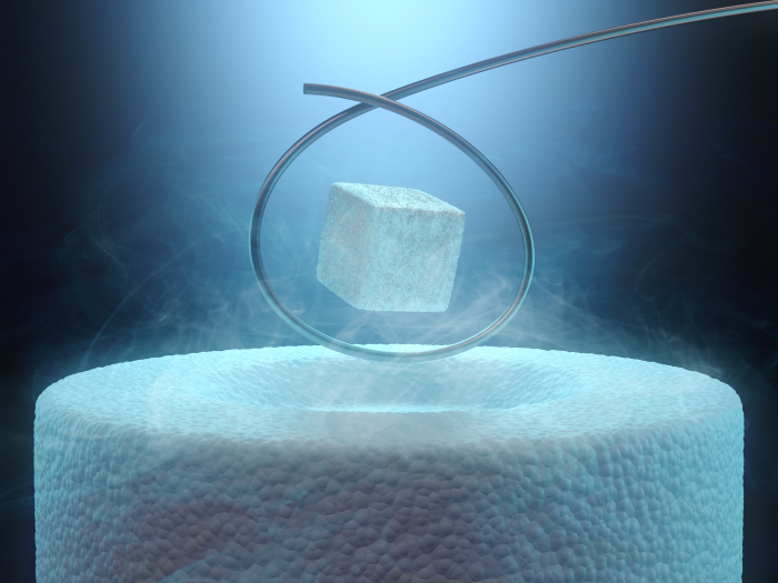 Image　of　superconductivity　(Courtesy　of　Getty　Images)