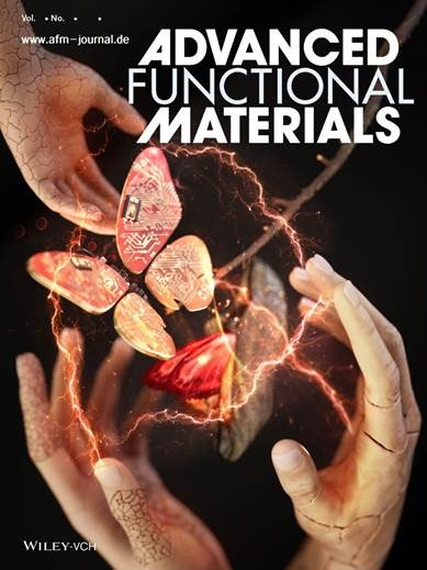 Advanced　Functional　Materials　containing　a　research　paper　on　the　joint　development　of　a　new　solid　electrolyte　by　SK　On　and　Dankook　University　(Courtesy　of　SK　On’s　parent　SK　Innovation)