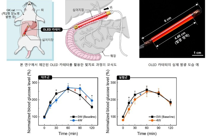 KAIST discovers diabetes treatment using light