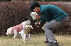 LG Uplus buys pet Airbnb-style startup to boost pet care services