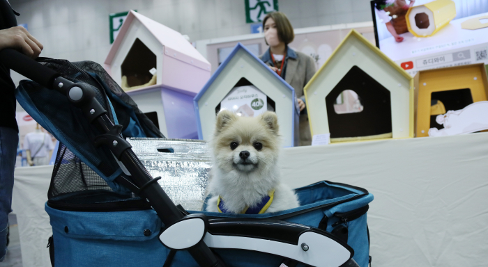 LG　Uplus　buys　pet　Airbnb-style　startup　to　boost　pet　care　services
