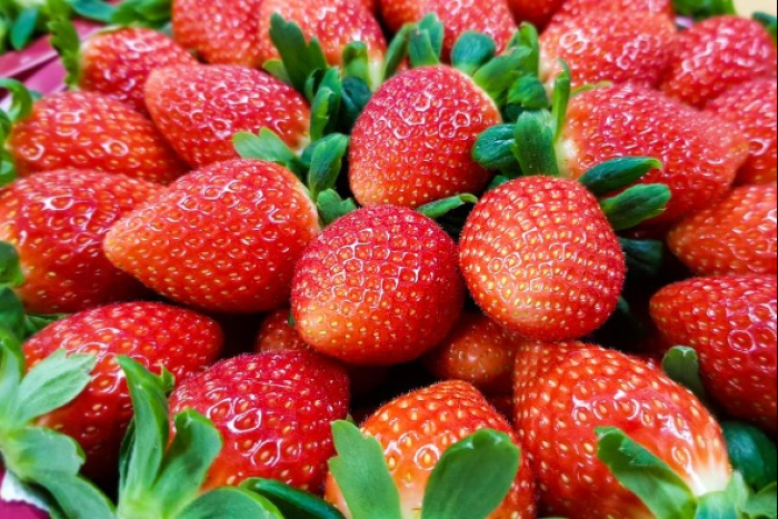 S.Korean　Keumsil　Strawberries　exports　to　SE　Asia