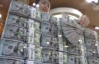 Korea Inc.’s dividend repatriation soars on new tax breaks
