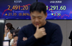 Beware political risk, No.1 factor in Korea Discount