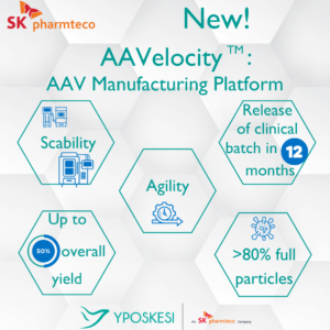 AAVelocity　(Courtesy　of　SK　Pharmteco)