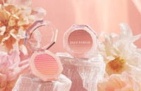 Korean vegan makeup brand Dear Dahlia on the market