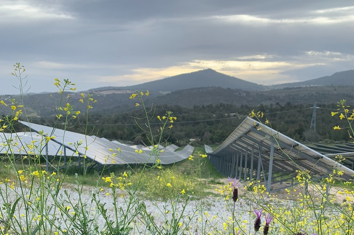 Larhino, a 12MW solar energy station in Portugal (Courtesy of NextEnergy Capital)