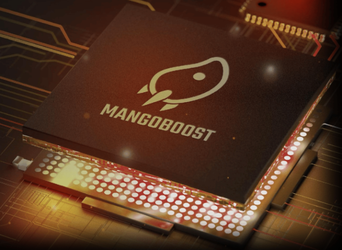 MangoBoost is a data processing unit (DPU) and AI server infrastructure company