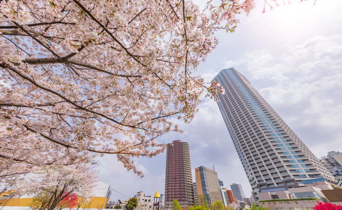 City view in Tokyo (Courtesy of Getty Images)