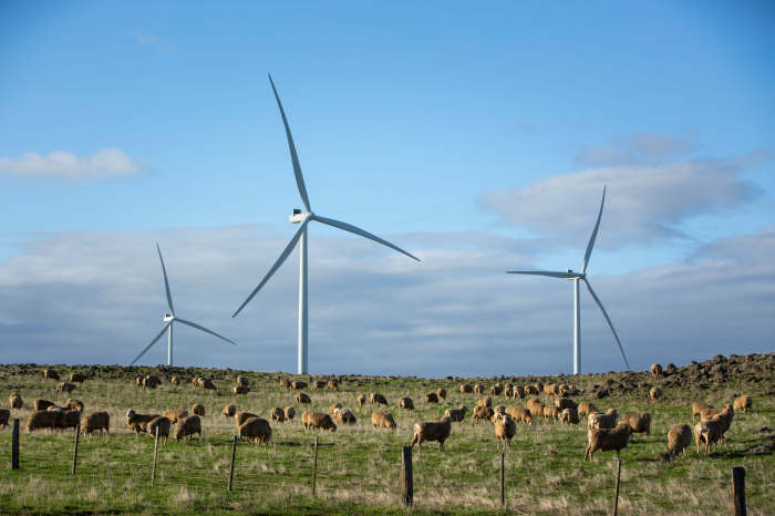 A wind farm in Australia (Courtesy of QIC)