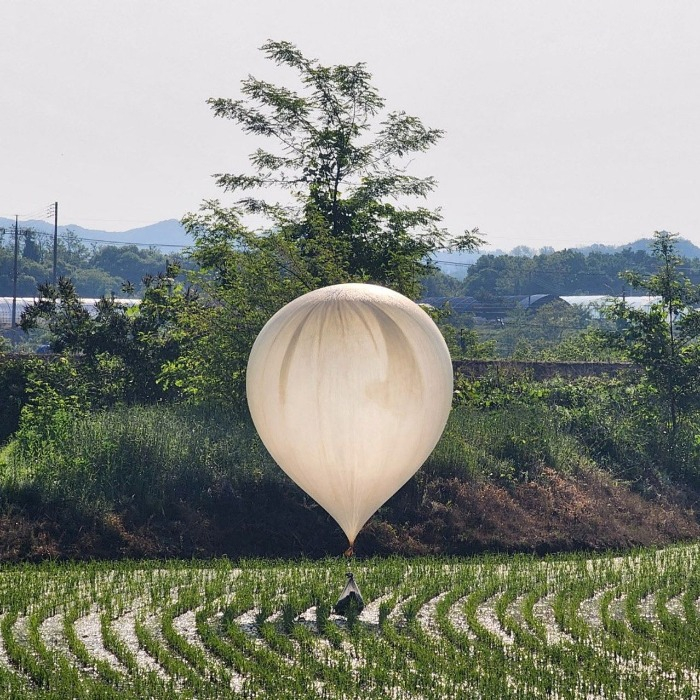 A balloon carrying what appeared to be trash and excrement in a rice field in South Korea. YONHAP NEWS AGENCY/REUTERS