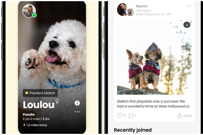 Dog　profile　cards　on　MMDC　(Courtesy　of　Momo　Project) 