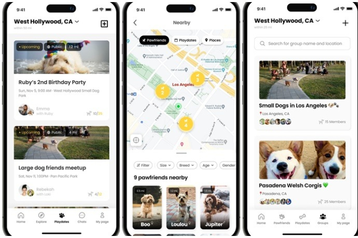 Dog　meetup　announcements　on　MMDC　(Courtesy　of　Momo　Project) 
