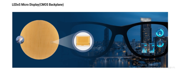 Sapien Semiconductors' main product (Screenshot captured from its website)
