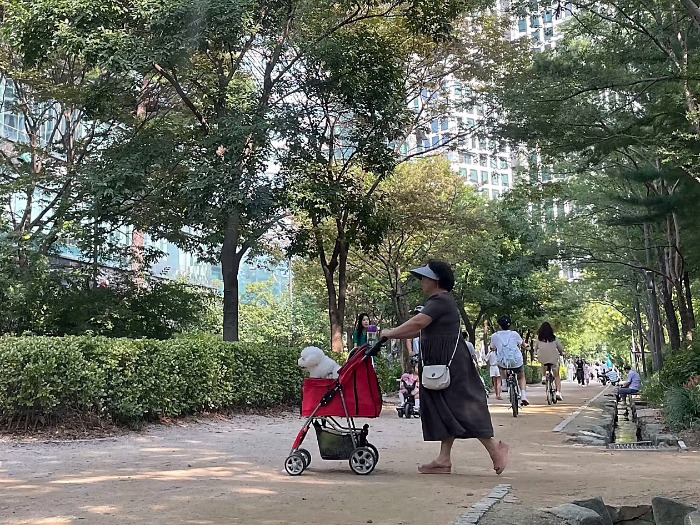 At　Seoul　Forest　Park,　which　is　larger　than　New　York’s　Central　Park,　strollers　ferrying　pooches　are　a　common　sight. Photo: Soobin　Kim　for　WSJ