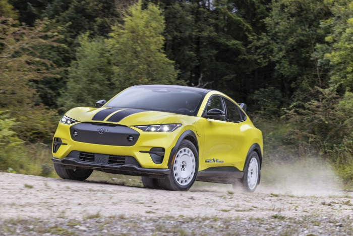 The Ford Mustang Mach-E (File photo downloaded from Ford’s website)