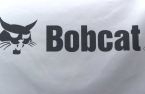 NPS steps back from Doosan Robotics' Bobcat merger