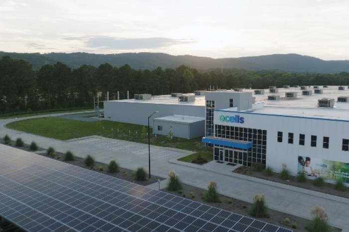 Hanwha Solutions, the parent of Hanwha Q cells, started mass production of solar panels in the US state of Georgia in 2024 (Courtesy of Hanwha Q Cells)