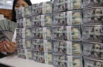 South Korea’s forex reserves dip to nearly 5-year low in February
