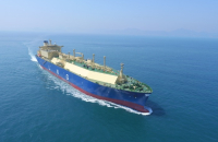 IMM consortium owns 100% of Hyundai LNG Shipping; Stake sale eyed