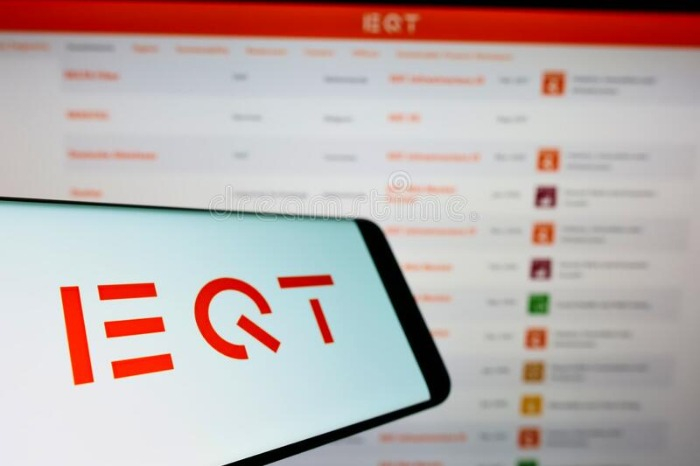 EQT manages 269 billion euros in assets through 50 active funds as of December 2024
