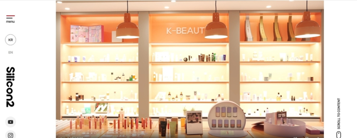 Silicon2 is a fast-growing South Korean cosmetics distributor with its logistics centers across the globe (Screenshot captured from its website)