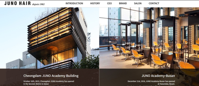 Juno Academy (Screenshot captured from its website)