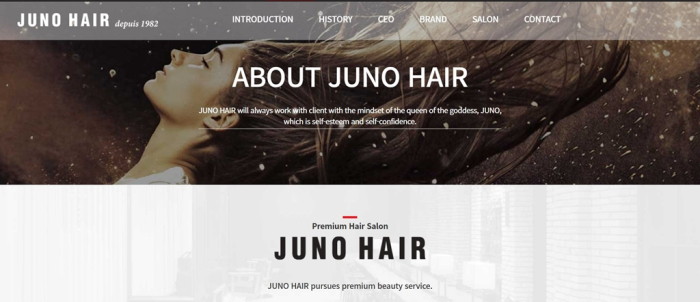 Juno Hair (Screenshot captured from its website)